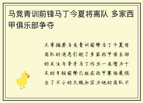 马竞青训前锋马丁今夏将离队 多家西甲俱乐部争夺